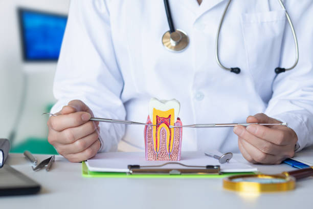 Best Emergency Tooth Extraction in Berry Hill, TN